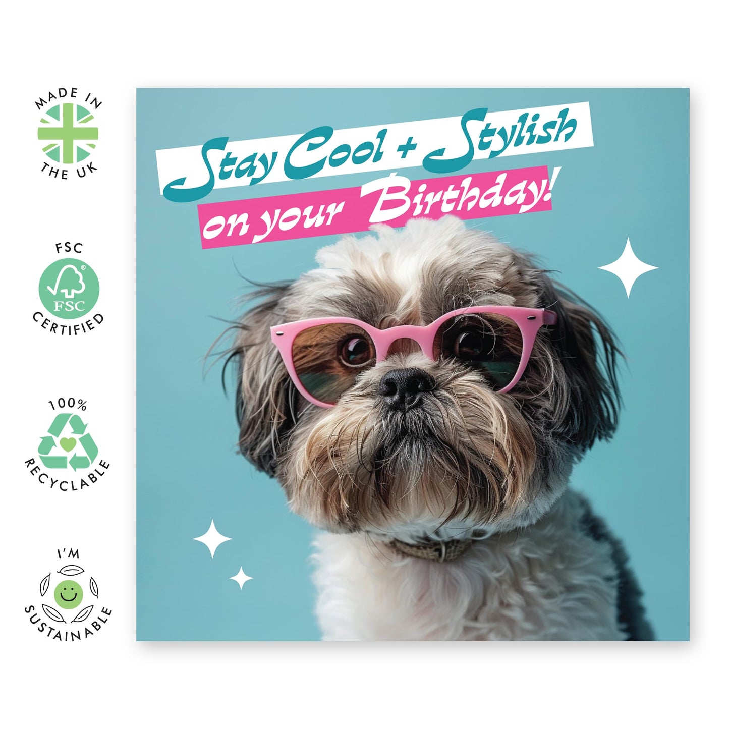 Cute Dog Saying Happy Birthday Card - 'Stay Cool & Stylish' - Gifts for Him, Her, Dog & Pet Lovers, Fur Parents & Owners - Let's get it on girl - Comes with Fun Stickers