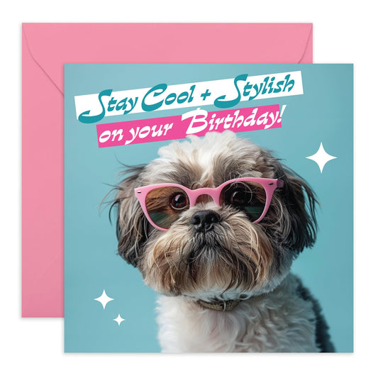 Cute Dog Saying Happy Birthday Card - 'Stay Cool & Stylish' - Gifts for Him, Her, Dog & Pet Lovers, Fur Parents & Owners - Let's get it on girl - Comes with Fun Stickers