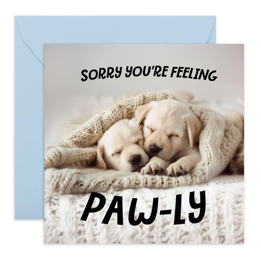 Greeting Card - 'SORRY YOU'RE FEELING PAWLY' - Perfect for Comforting Someone with a Cute Puppy Twist - Ideal to Add a Lighthearted Touch to Your Get Well Wishes - Comes With Stickers By Central 23