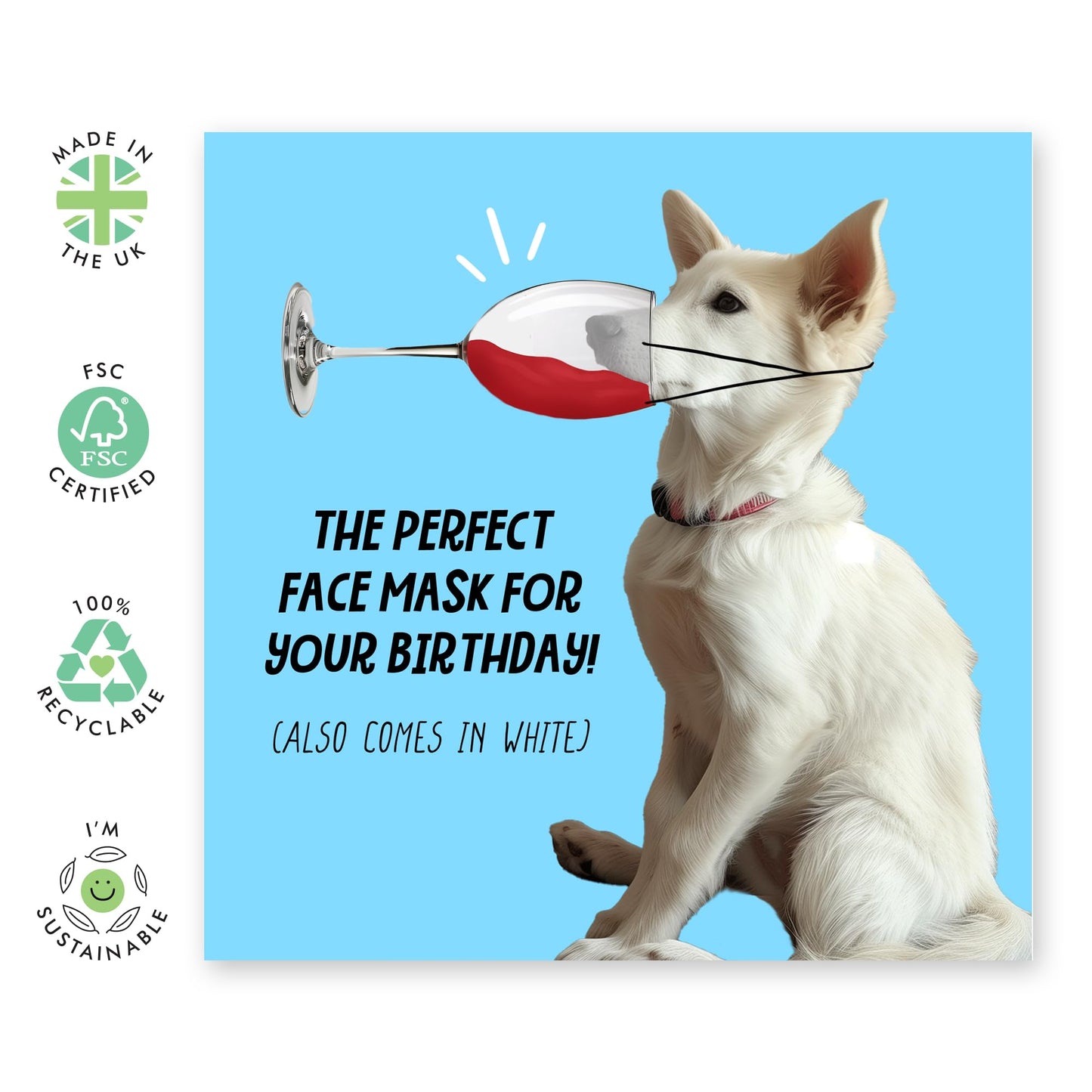 Birthday Card - 'BIRTHDAY FACE MASK' - Perfect for Celebrating with a Fun and Relaxing Twist - Ideal for Adding a Touch of Pampering and Humor to Their Special Day - Comes With Stickers By Central 23