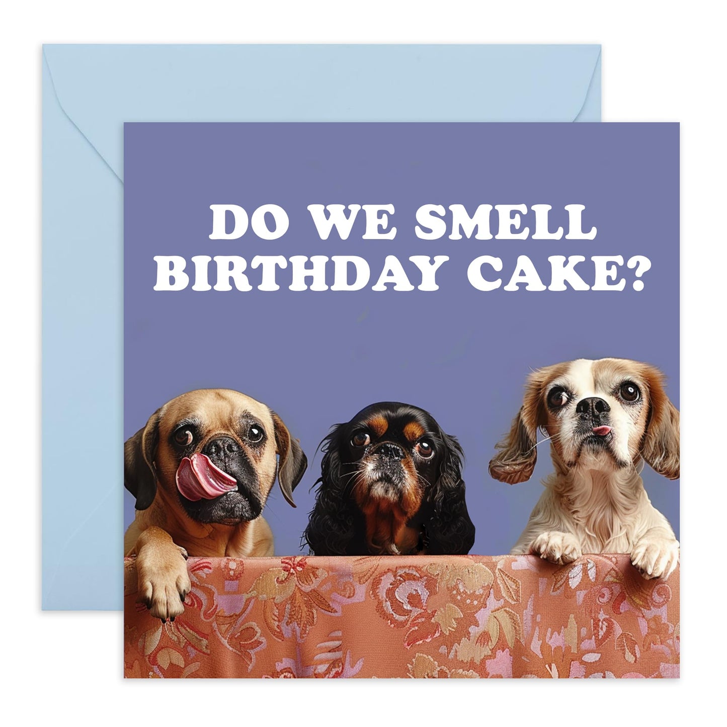 Hilarious Dogs Birthday Card - 'Birthday Cake Dogs' - Jokes for BFFs, Best Friends, Buddies, Mates, Bruv, Bro, Sis, Family, Colleagues, Coworkers - Dog Team - Comes with Fun Stickers