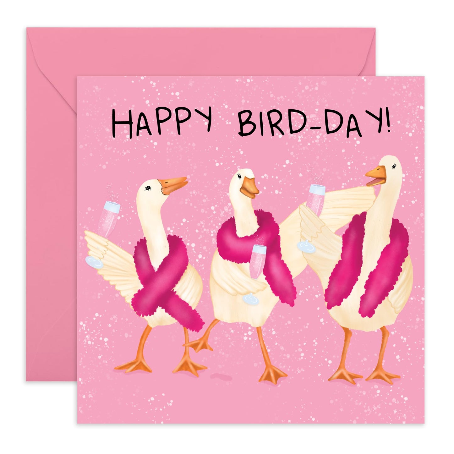 Birthday Cards For Her - Happy Bird Day Goosee - Birthday Cards For Sister - Gift From Friend - Greeting Cards For Mum Mummy - Auntie - Friend- Comes With Stickers - By Central 23