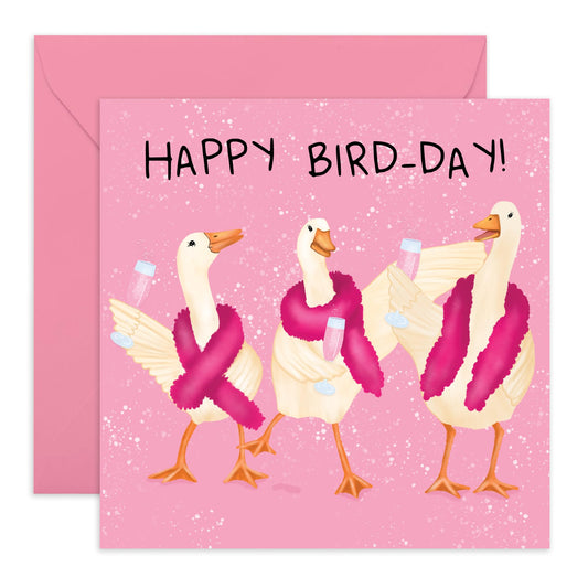 Birthday Cards For Her - Happy Bird Day Goosee - Birthday Cards For Sister - Gift From Friend - Greeting Cards For Mum Mummy - Auntie - Friend- Comes With Stickers - By Central 23