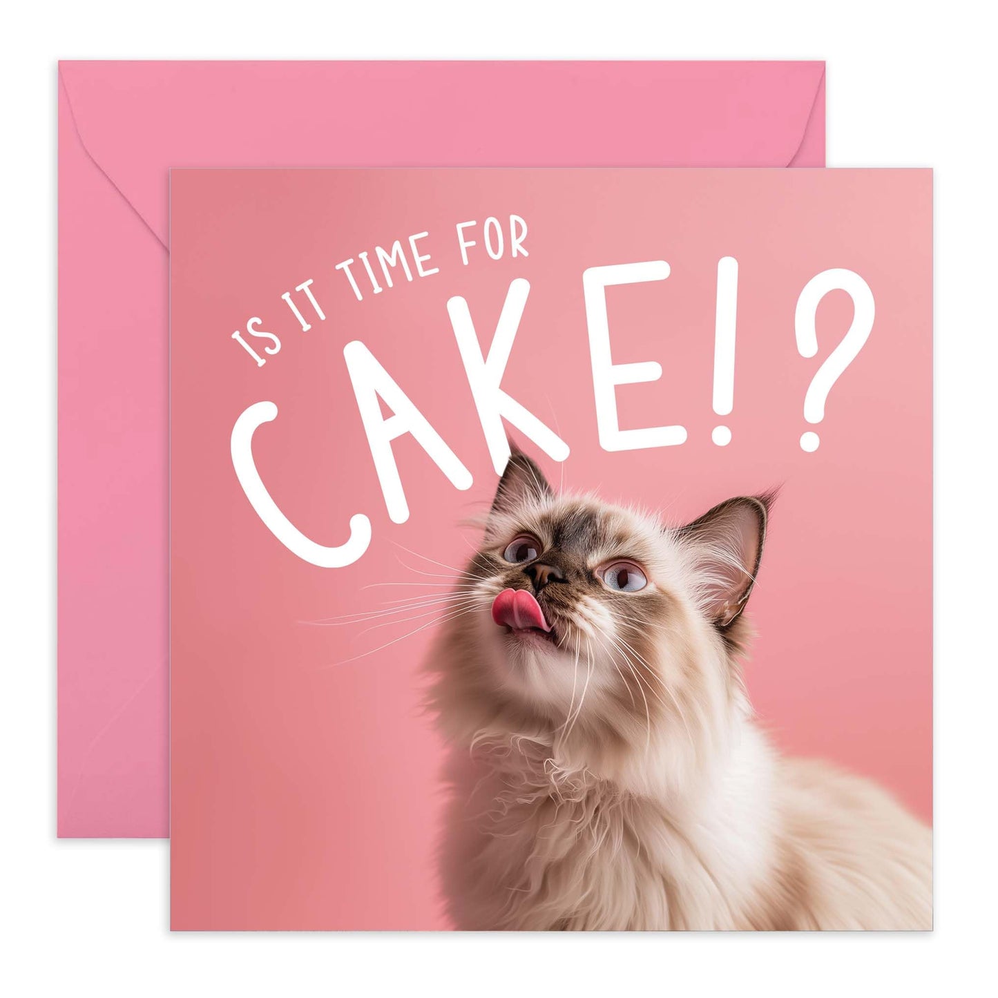 Birthday Card - 'IS IT TIME FOR CAKE? CAT' - Perfect for Celebrating Cat Lovers - Ideal for Him, Her, Friends, Family, or Anyone Who Loves Feline Fun and Birthdays - Comes With Stickers By Central 23