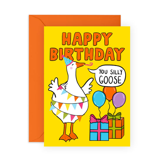 Happy Birthday Cards For Friends - You Silly Goose - Quirky Kids Birthday Cards For Boys Girls - Funny Greeting Cards For Sister Brother - Gifts For Men Women - Comes With Stickers By Central 23