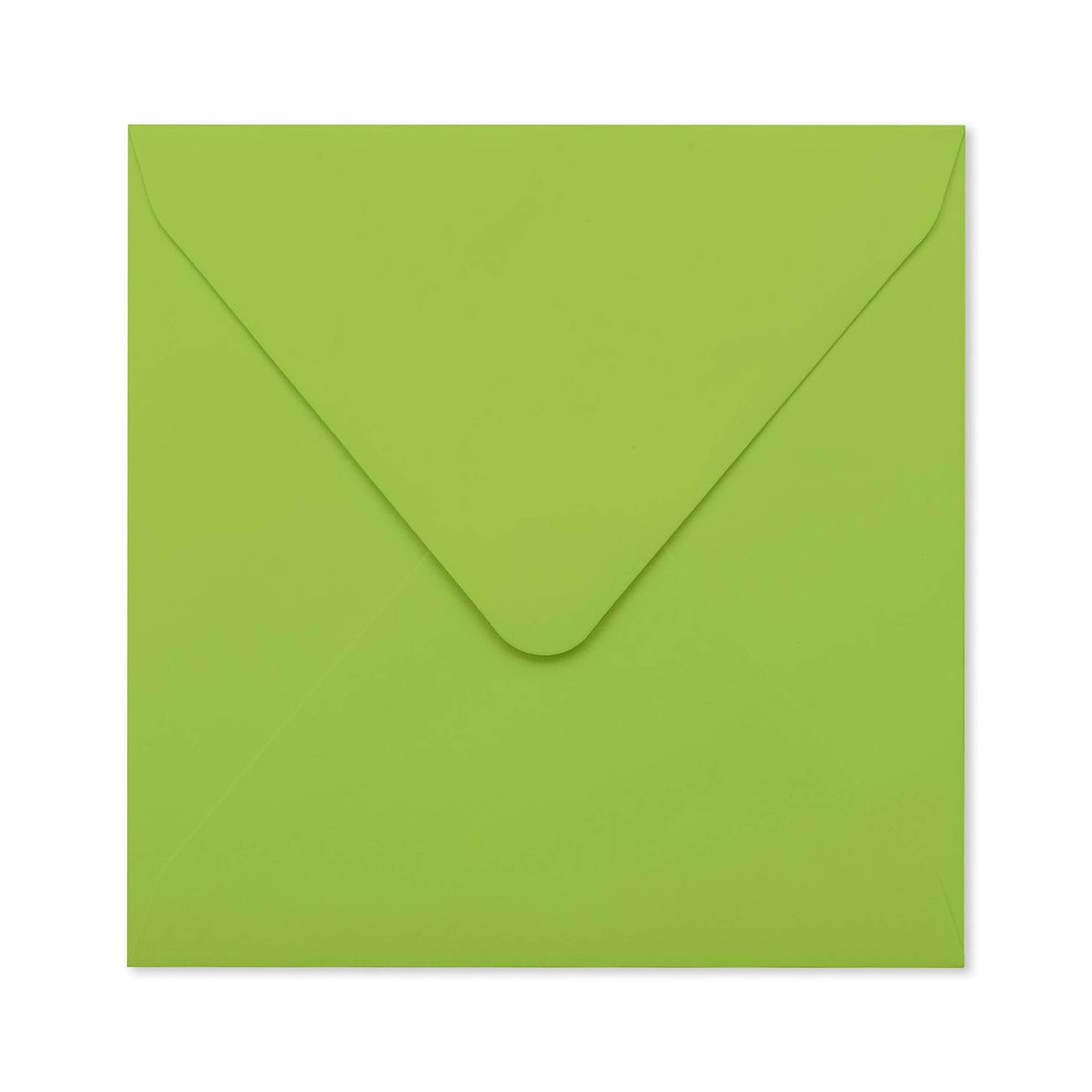 Father’s Day Card - Roarsome Papa - Sweet Birthday Cards For Men - Greeting Cards For Dad Father Daddy - Gifts For Him - Comes With Stickers - By Central 23