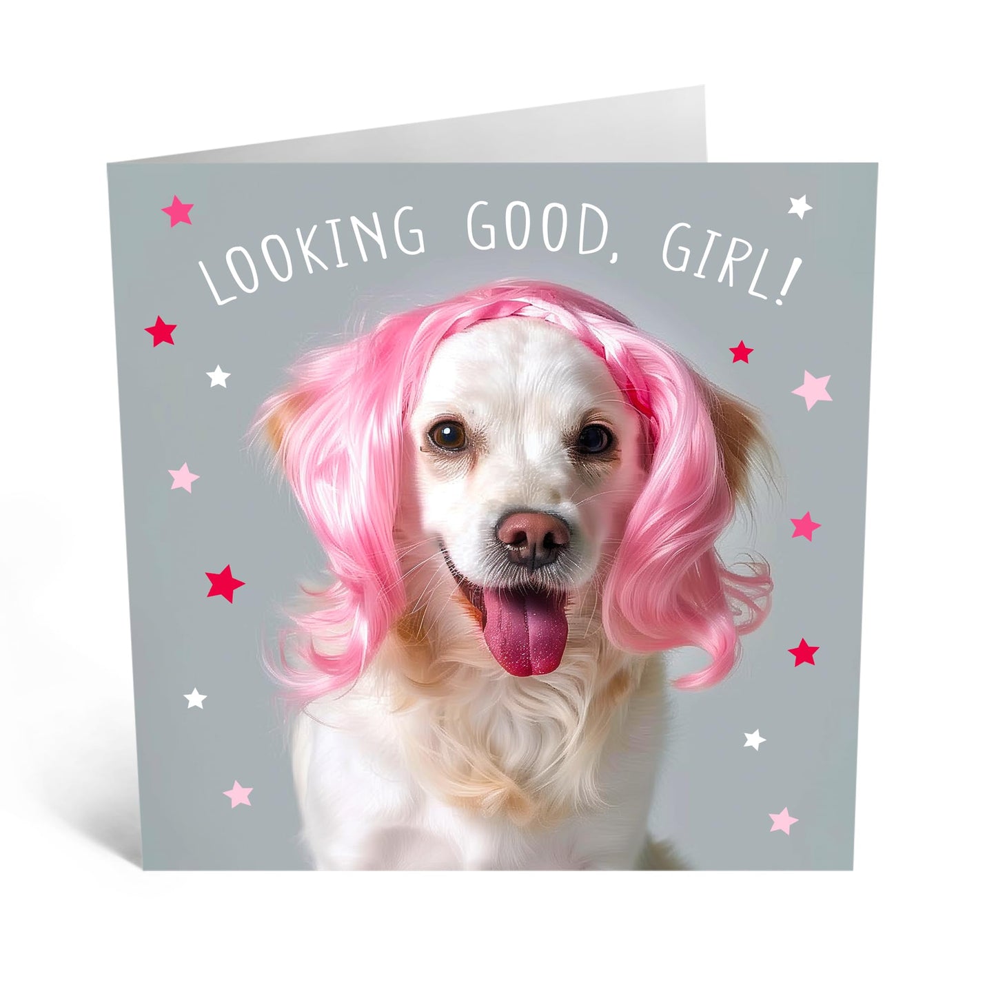 Greeting Card - 'LOOKING GOOD GIRL DOG WIG' - Perfect for Celebrating with a Fun and Fabulous Twist - Ideal for Adding Humor and Style to Any Occasion - Comes With Stickers By Central 23