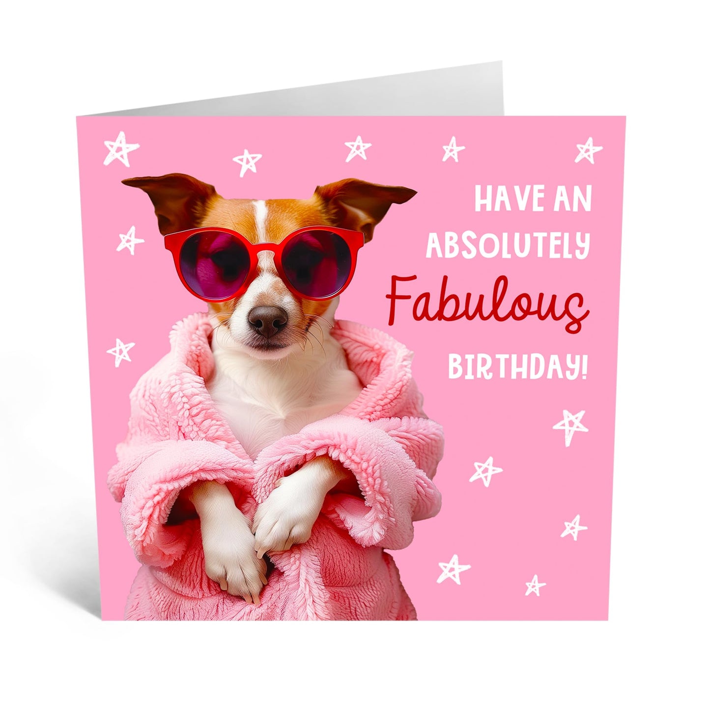 Birthday Greeting Card - 'FABULOUS BIRTHDAY DOG' - Perfect for Celebrating with a Fun Canine Twist & Fabulous Design - Ideal for Dog Lovers & Adding a Touch of Joy - Comes With Stickers By Central 23
