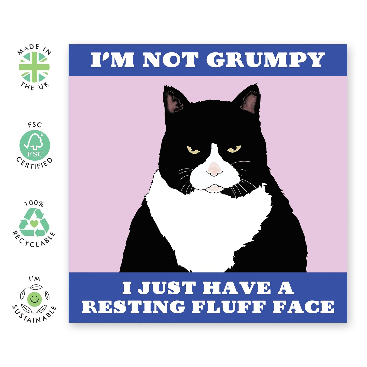 Sassy Greeting Cards For Her Women - Resting Fluff Face - Wife Birthday Card - Funny Birthday Cards For Daughter Mum Dad Nan - Hilarious Cat Gifts For Friends - Comes With Stickers By Central