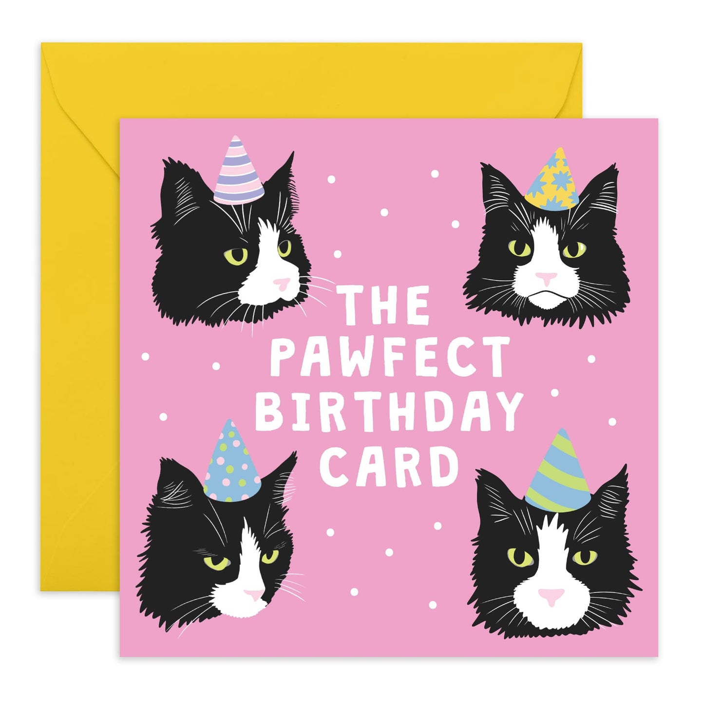 Birthday Card – “The Pawfect Card” – Cute & Quirky Tuxedo Cat Design – Gifts for Cat Lovers, Her, Him, Friends, Mum, Dad, Auntie, Uncle, Grandmum, Grandad, Neighbours - Comes with Fun Stickers