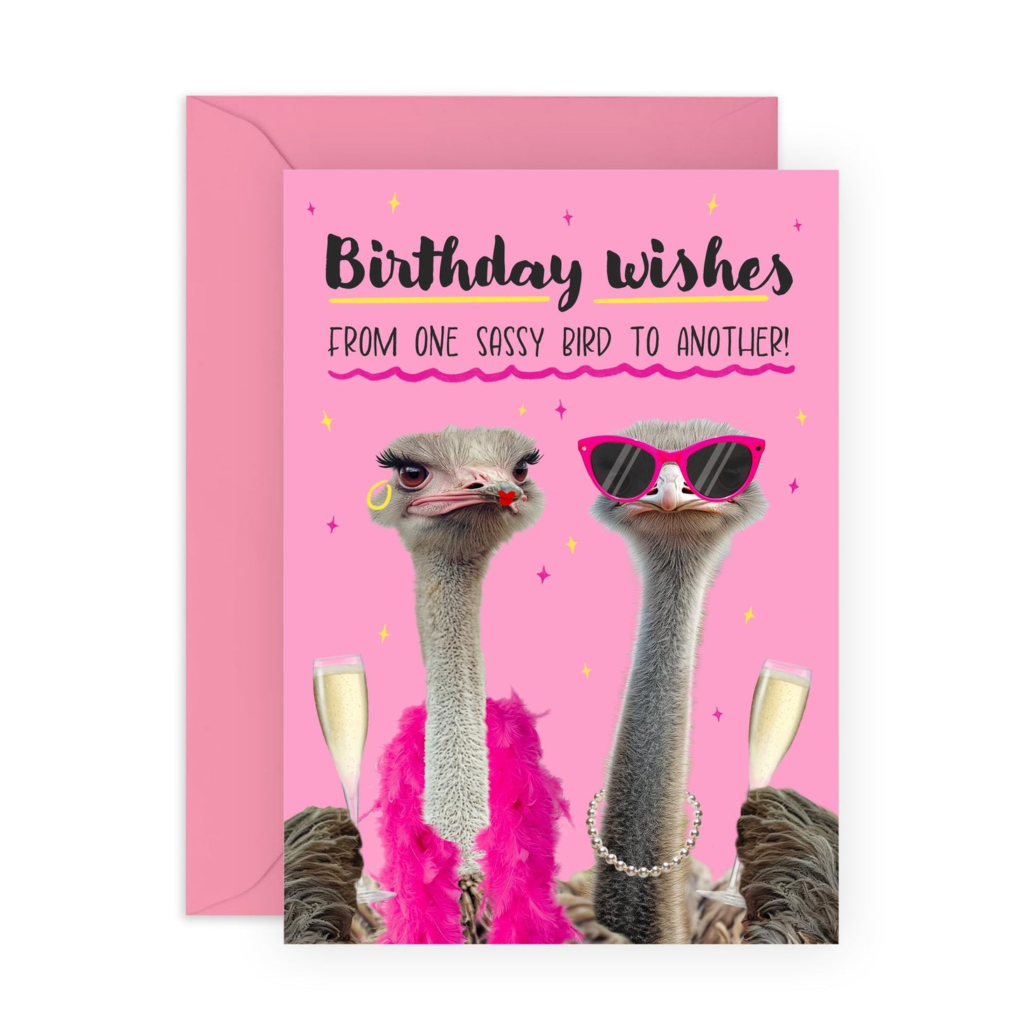 Fabulous Birthday Card - 'One Sassy Bird To Another' - Gifts for Best Friends, BFF, Co-workers, Colleagues, Besties, Girlfriend, Bestie, Gals, Sister, Sis - Fab - Comes with Fun Stickers
