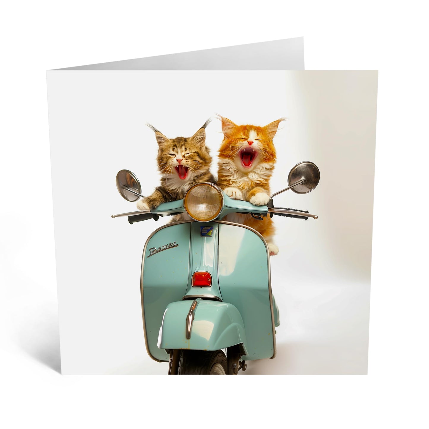 Fun Greeting Card - 'MOPED CATS' - Ideal for Cat Lovers and Adding a Playful Touch to Any Occasion - Perfect for Celebrating with a Unique Twist and a Smile - Comes With Stickers By Central 23