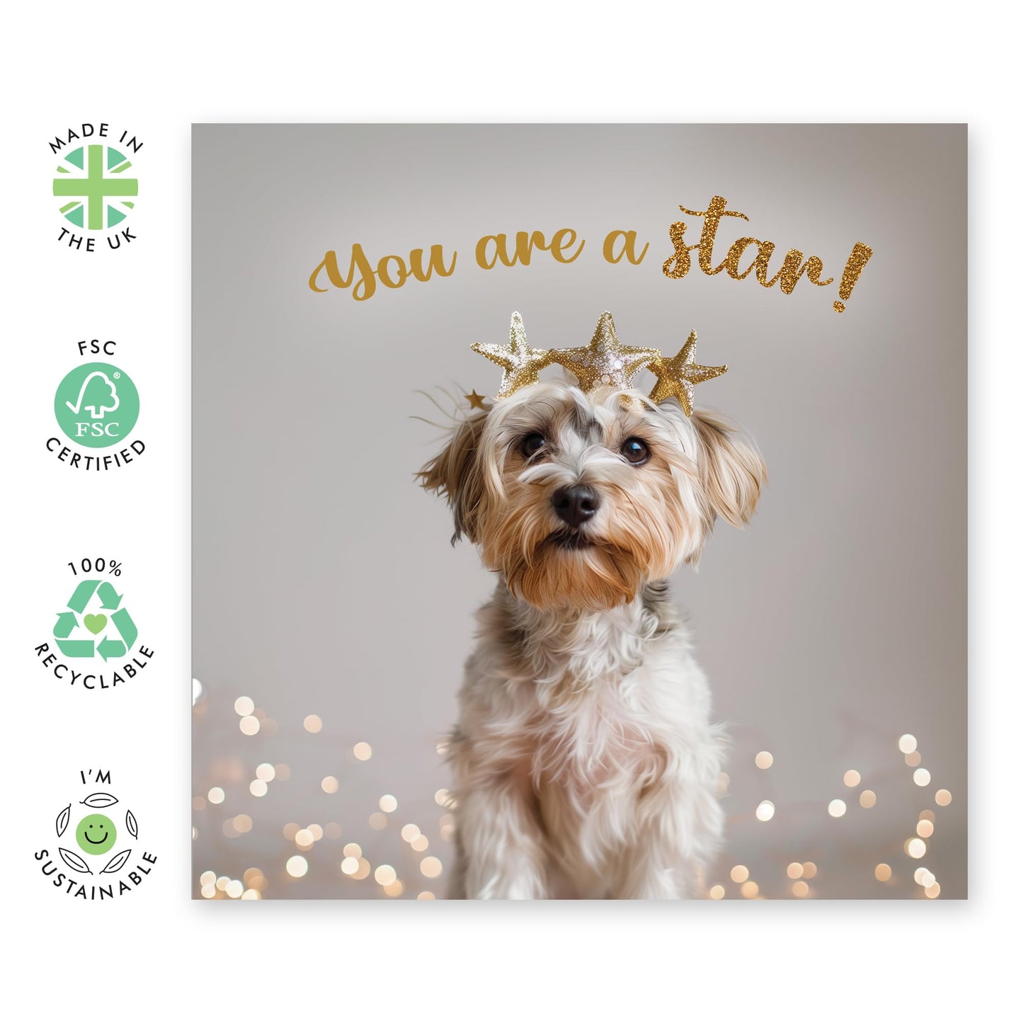 Greeting Card - 'YOU ARE A STAR! DOG' - Perfect for Celebrating with a Fun Canine Twist - Ideal for Dog Lovers & Adding Touch of Joy & Appreciation to Any Occasion - Comes With Stickers By Central 23