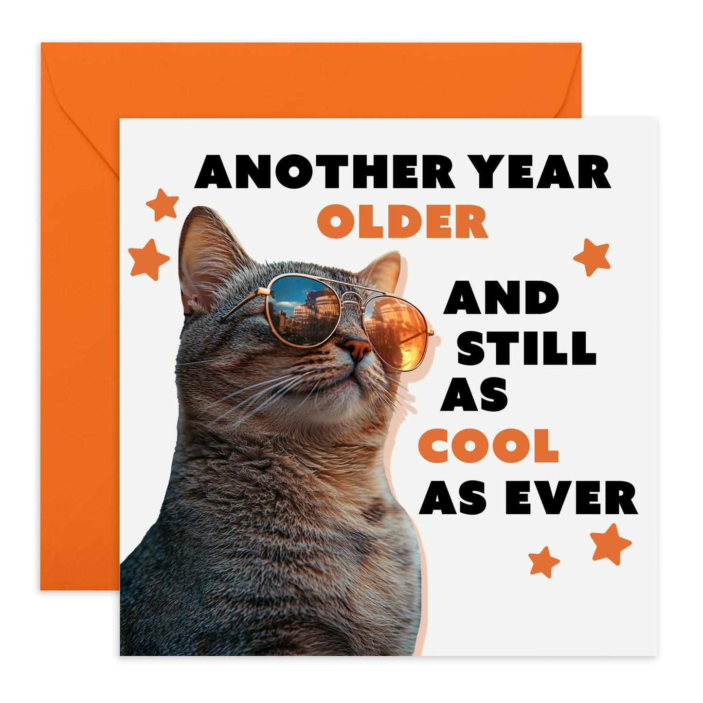 Cat Birthday Card Funny - Another Year Older And Still As Cool As Ever - Funny Cat Birthday Cards For Friends Cat Mum Dad - Gifts For Pet Owners Cat Lady - Comes With Cute Stickers By Central 23