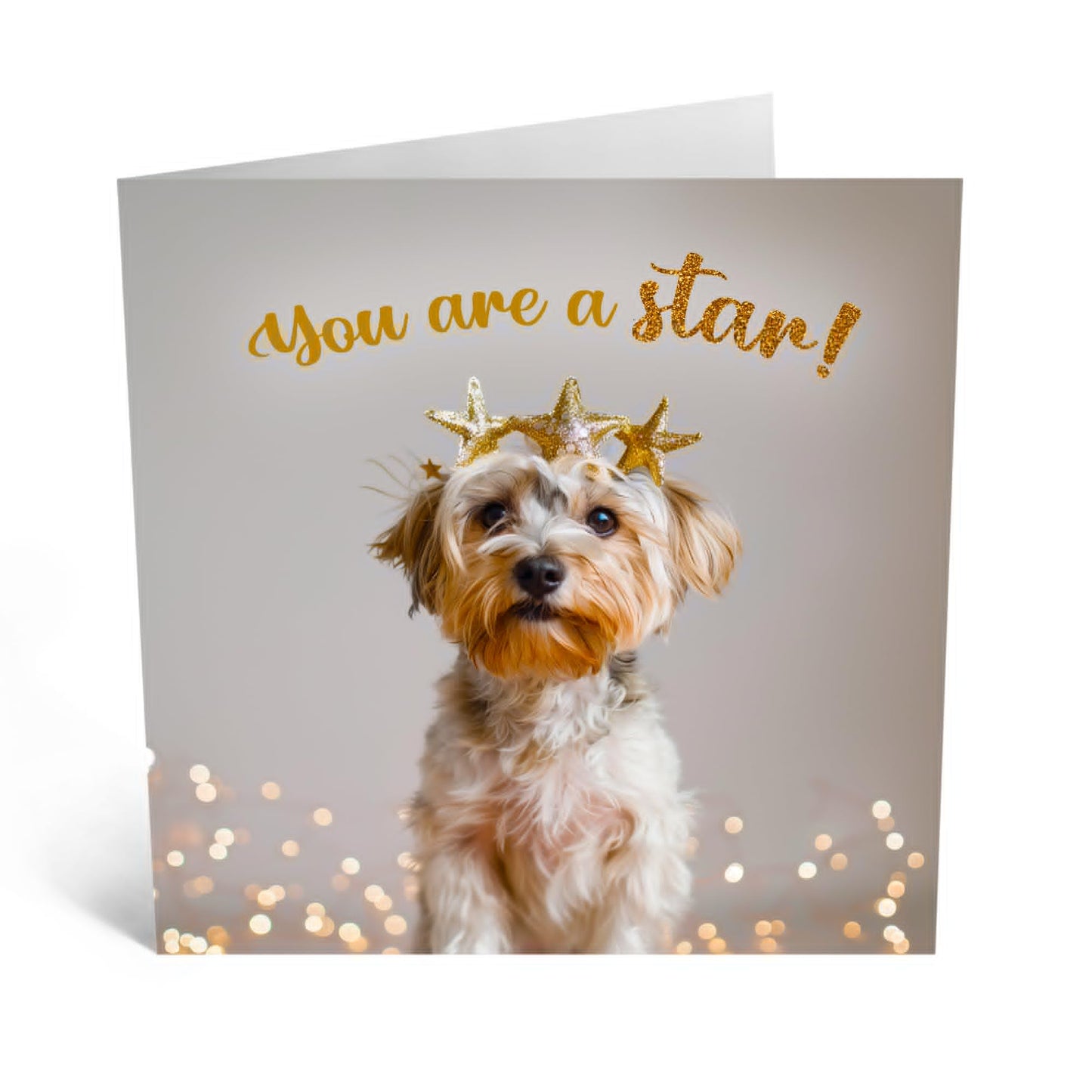 Greeting Card - 'YOU ARE A STAR! DOG' - Perfect for Celebrating with a Fun Canine Twist - Ideal for Dog Lovers & Adding Touch of Joy & Appreciation to Any Occasion - Comes With Stickers By Central 23