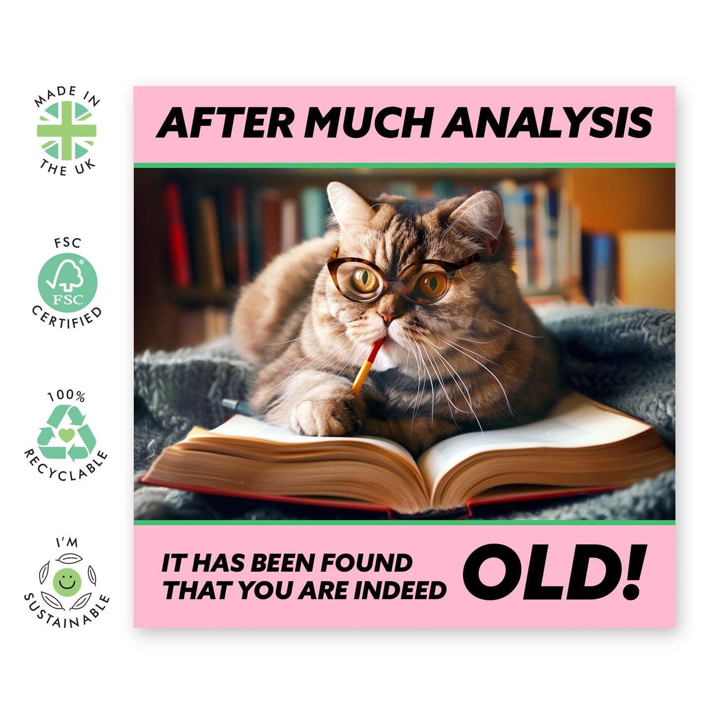 Greeting Card - 'INDEED OLD CAT' - Perfect for Cat Lovers and Celebrating Aging with Humor - Ideal for Birthdays or Any Occasion - Adds a Fun, Feline Twist - Comes With Stickers By Central 23