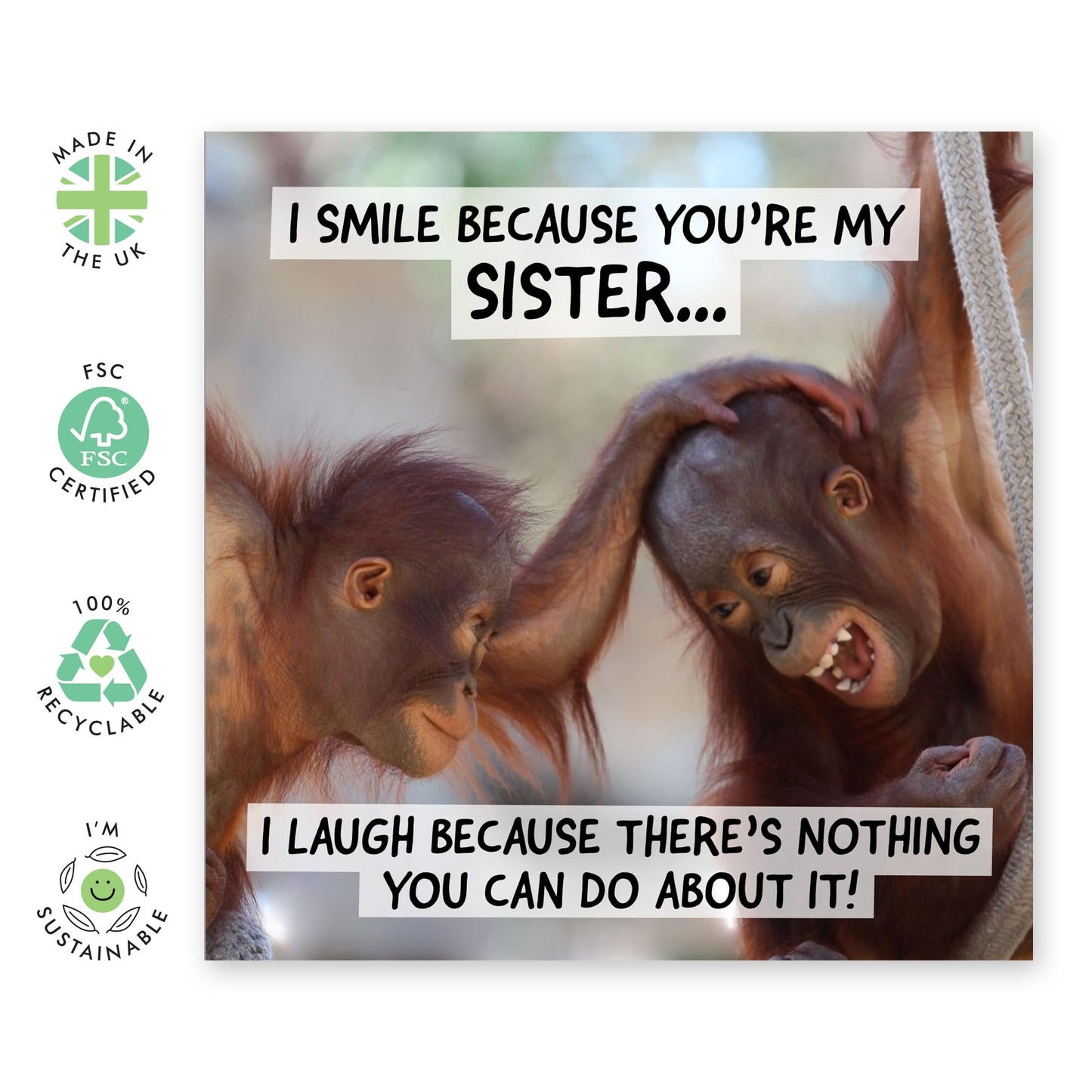 Greeting Card - 'SMILE BECAUSE YOU'RE MY SISTER' - Perfect for Any Occasion with a Heartfelt Design - Ideal for Expressing Love and Appreciation to a Special Sister - Comes With Stickers By Central 23
