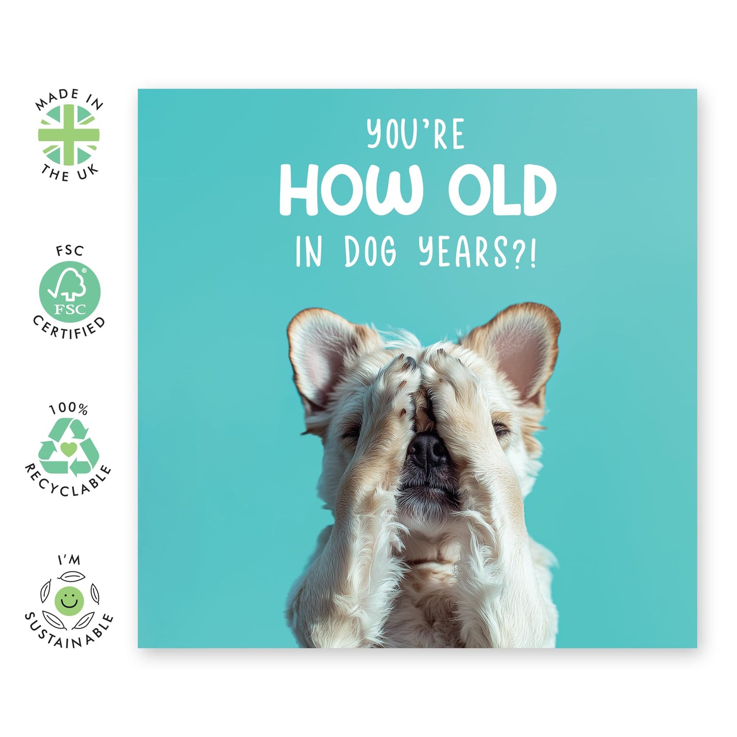 Cute Dog Birthday Card - 'How Old In Dog Years' - Gifts for Best Friends, Besties, BFF,Girlfriends, Sister, Sis, Gals, Colleagues, Co-workers - Oldies - Comes with Fun Stickers