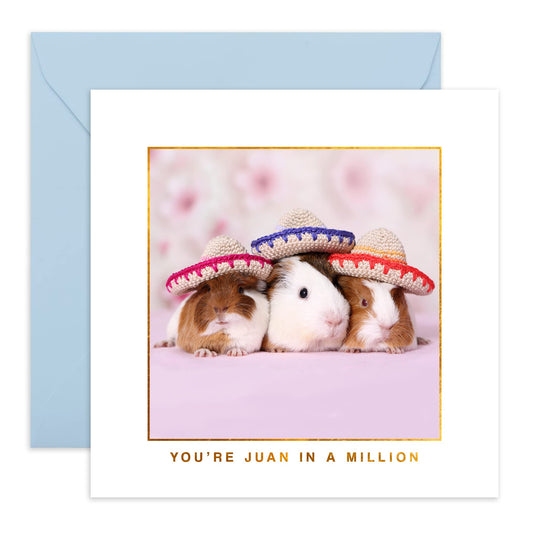 Birthday Card for Him Her - Juan In A Million Guinea Pigs - Funny Boyfriend Anniversary Card for Husband Wife Girlfriend Fiance Babe Spouse - Valentines Day Ideas - Comes With Cute Stickers