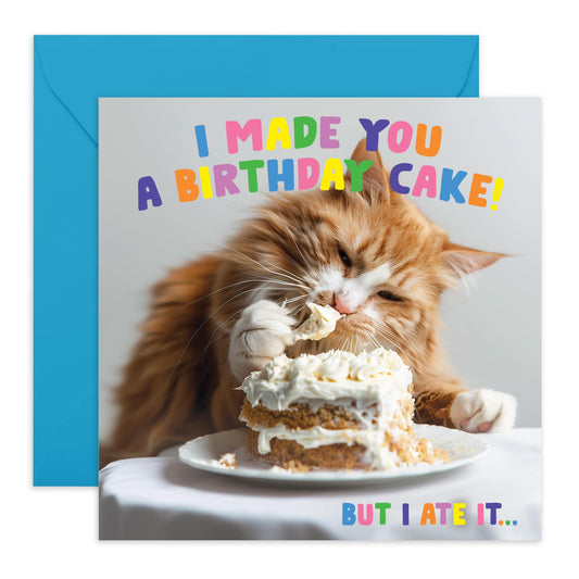 Birthday Greeting Card - 'MADE YOU A BIRTHDAY CAKE CAT' - Perfect for Adding a Sweet & Feline Twist to Celebrations - Ideal for Cat Lovers Who Loves a Fun Surprise - Comes With Stickers By Central 23