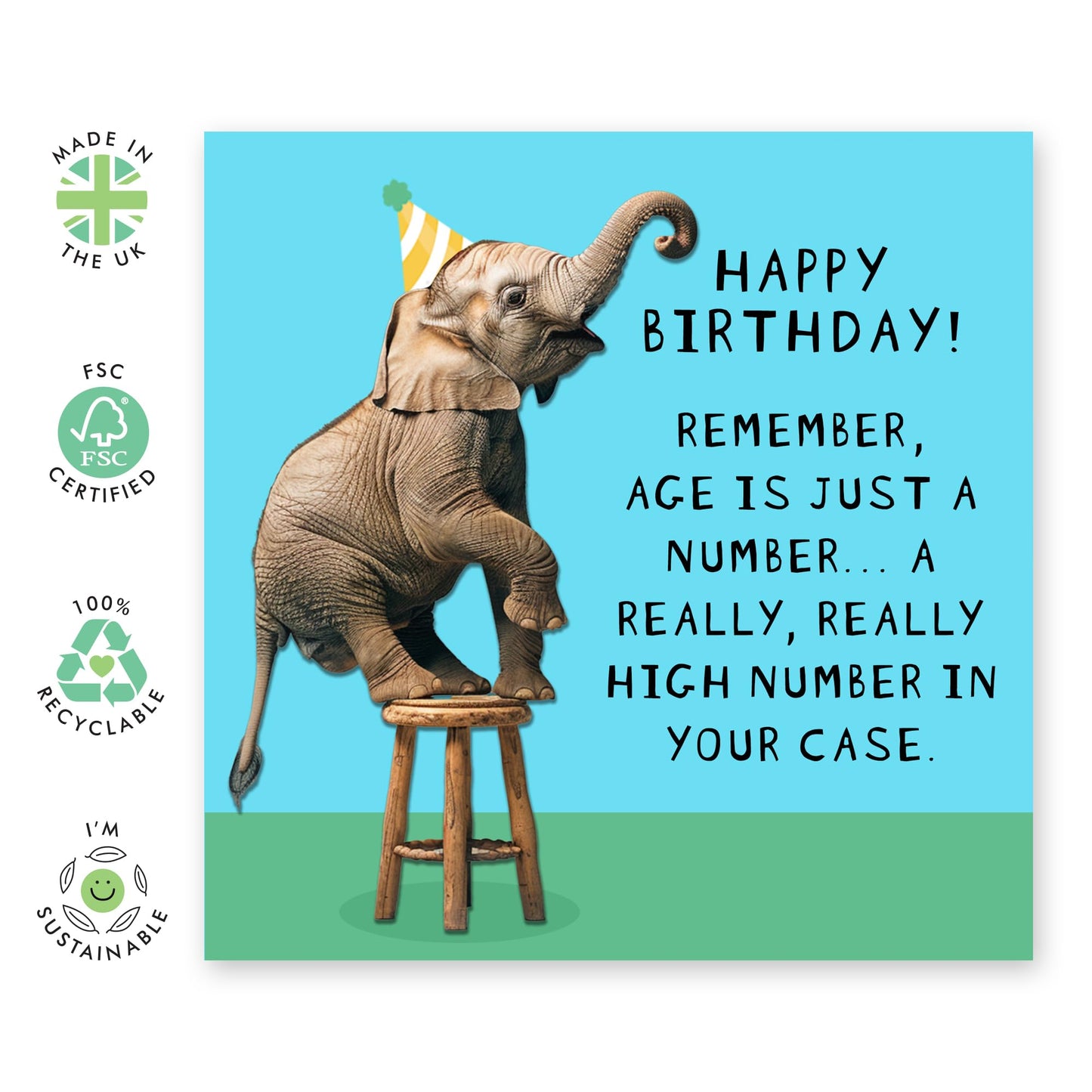 Jokes on Age Birthday Card - 'Birthday Elephant' - Gifts for Husband, Friend, BFFs, Bruv, Buddies, Mate, Grandfathers, Uncles - High Age - Comes with Fun Stickers