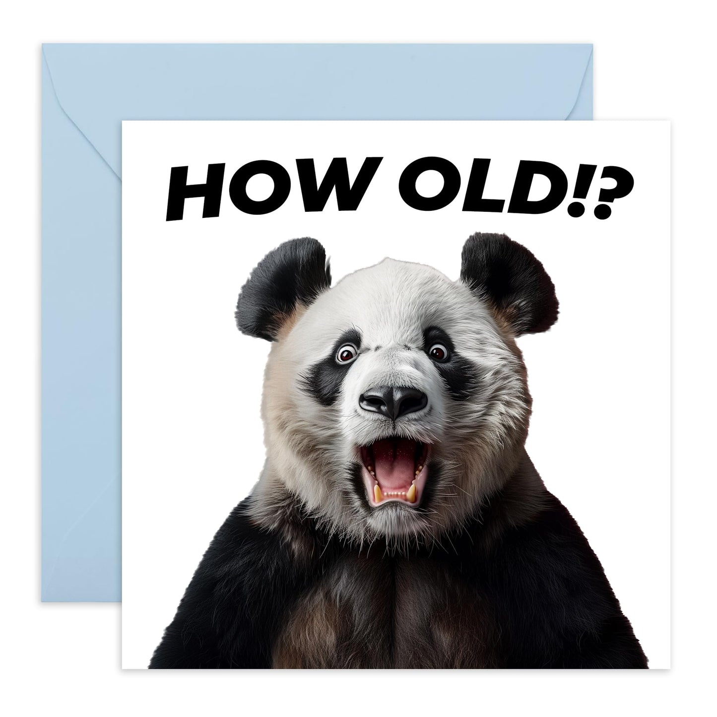 Birthday Greeting Card - 'HOW OLD?! PANDA' - Perfect for Celebrating Birthdays with a Cute Twist - Ideal for Panda Lovers and Adding Fun to Any Age Milestone - Comes With Stickers By Central 23