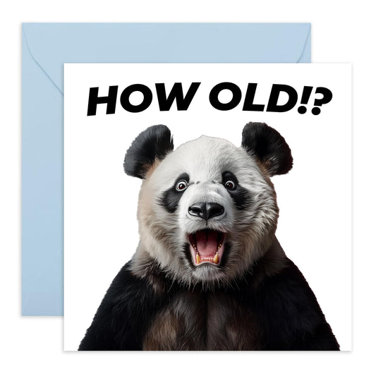 Birthday Greeting Card - 'HOW OLD?! PANDA' - Perfect for Celebrating Birthdays with a Cute Twist - Ideal for Panda Lovers and Adding Fun to Any Age Milestone - Comes With Stickers By Central 23