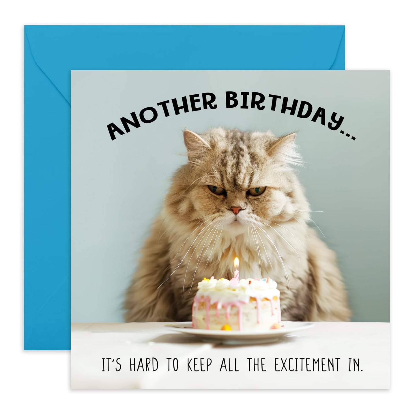 Greeting Card - 'BIRTHDAY UNEXCITED CAT' - Perfect for Celebrating with a Humorous Twist and Cat Design - Ideal for Adding a Touch of Laughter to Any Birthday - Comes With Stickers By Central 23