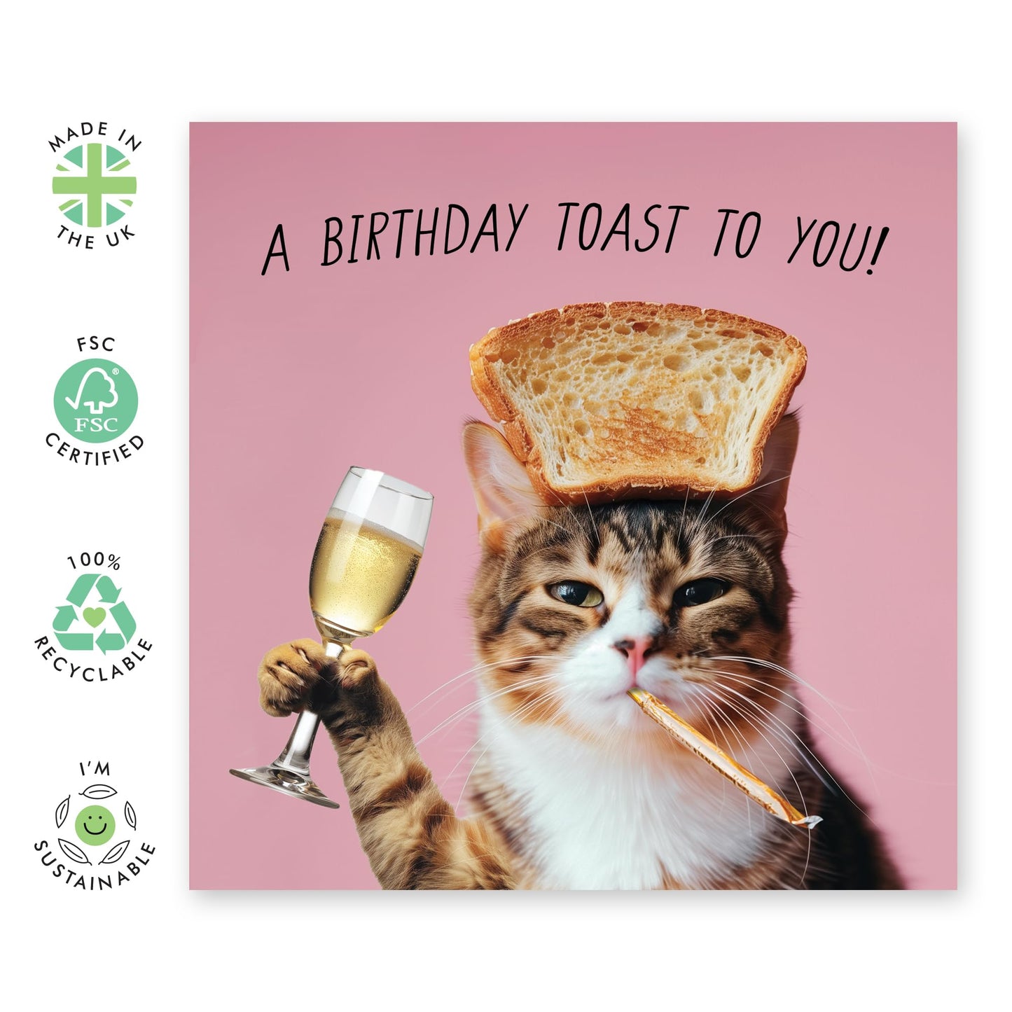 Cat Birthday Card Funny - A Birthday Toast To You! - Cute Cat Birthday Card For Cat Mum Cat Mum Fur Parent Cat Lady - Gifts Friends Mum Aunt Dad Sister - Comes With Stickers By Central 23
