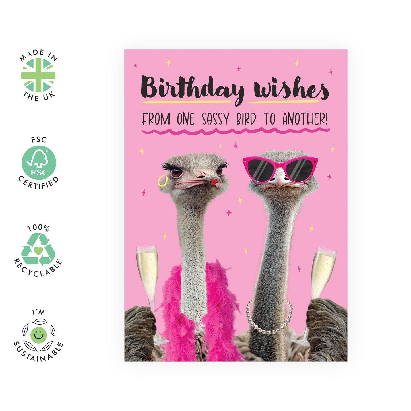 Fabulous Birthday Card - 'One Sassy Bird To Another' - Gifts for Best Friends, BFF, Co-workers, Colleagues, Besties, Girlfriend, Bestie, Gals, Sister, Sis - Fab - Comes with Fun Stickers