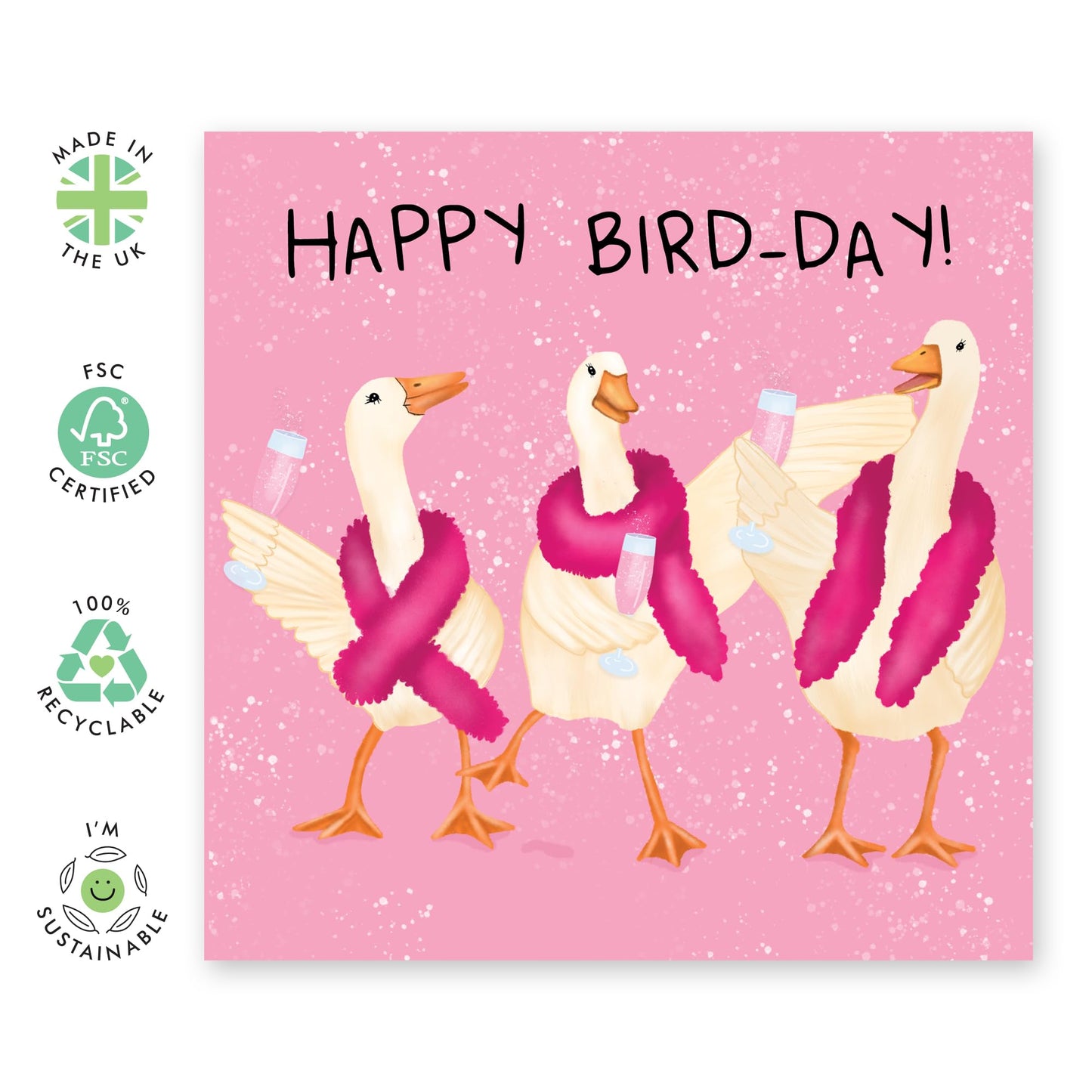 Birthday Cards For Her - Happy Bird Day Goosee - Birthday Cards For Sister - Gift From Friend - Greeting Cards For Mum Mummy - Auntie - Friend- Comes With Stickers - By Central 23