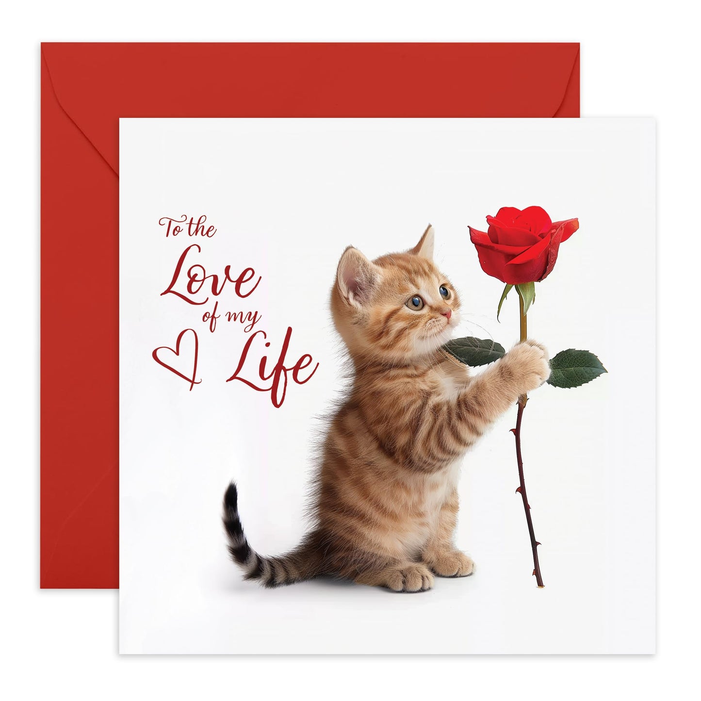 Greeting Card - 'LOVE OF MY LIFE KITTEN' - Perfect for Celebrating a Special Bond with a Touch of Feline Cuteness - Ideal for Showing Affection to Your Loved One - Comes With Stickers By Central 23
