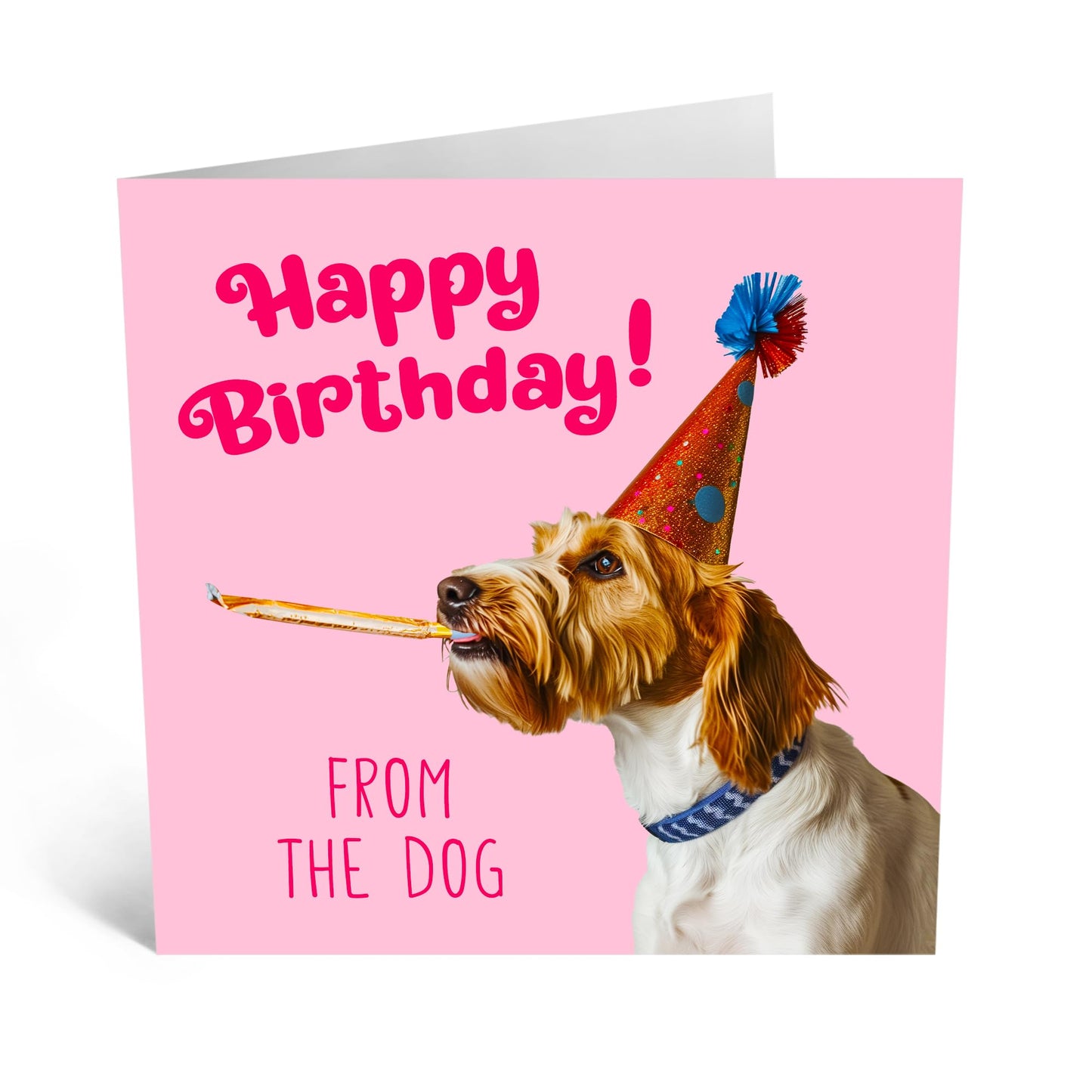 Birthday Greeting Card - 'BIRTHDAY FROM THE DOG' - Perfect for Dog Owners Who Want to Add a Paw-sitive Touch to Their Celebration - Ideal for Bringing a Charm - Comes With Stickers By Central 23