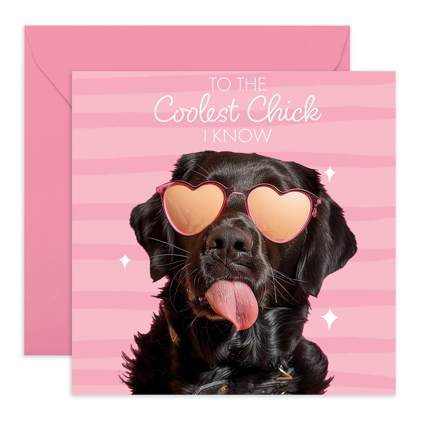 Cute Greeting Card - 'Coolest Chick' - Gifts for Girlfriends, BFFs, Besties, Best friends, Coworker- Fabulously Cute Dog - Comes with Fun Stickers