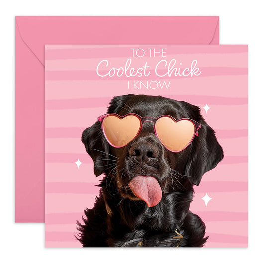 Cute Greeting Card - 'Coolest Chick' - Gifts for Girlfriends, BFFs, Besties, Best friends, Coworker- Fabulously Cute Dog - Comes with Fun Stickers