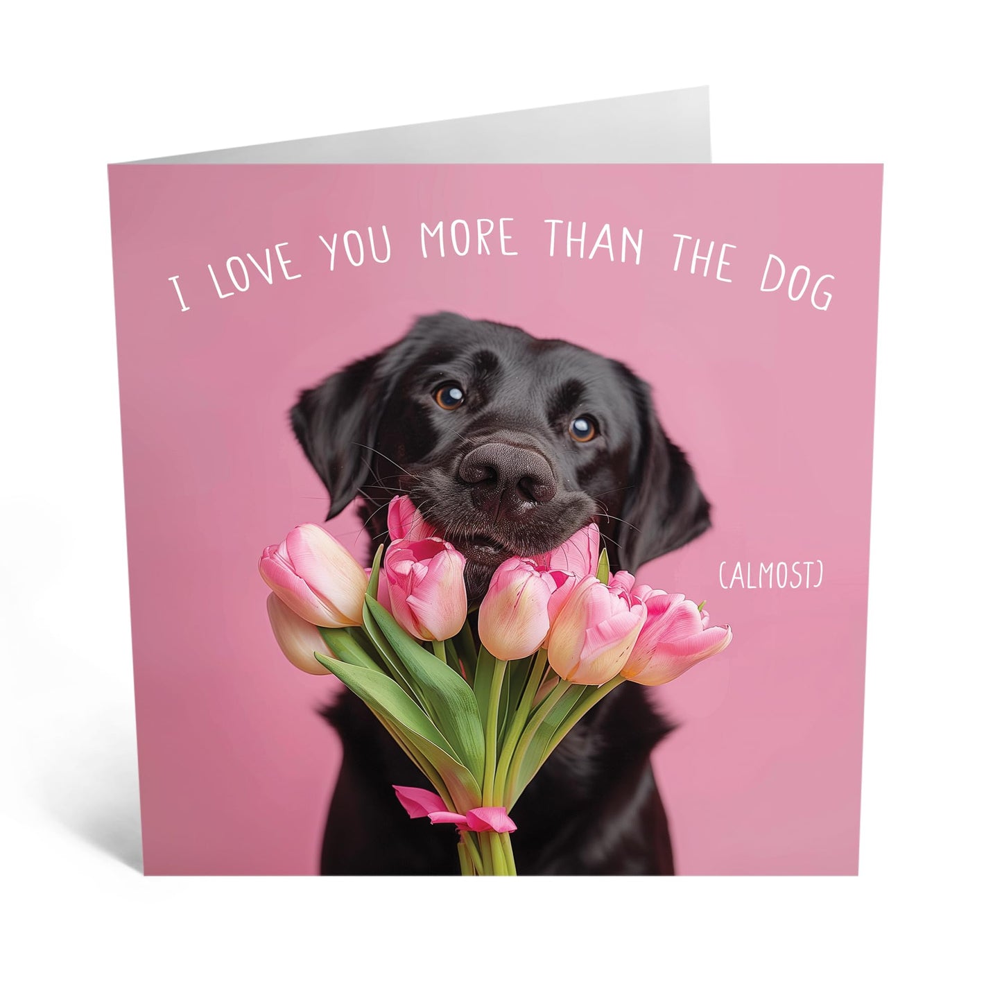 Greeting Card - LOVE YOU MORE THAN THE DOG - Perfect for Adding a Touch of Humor and Heartfelt Affection - Ideal for Celebrating Your Special Bond with a Fun Twist - Comes With Stickers By Central 23