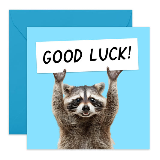 Leaving Cards For Colleagues - Good Luck Raccoon - Funny Goodbye Cards For Coworker Colleague Boss - Farewell Card - Moving Away - Good Luck In Your New Job Card - Comes With Stickers By Central 23