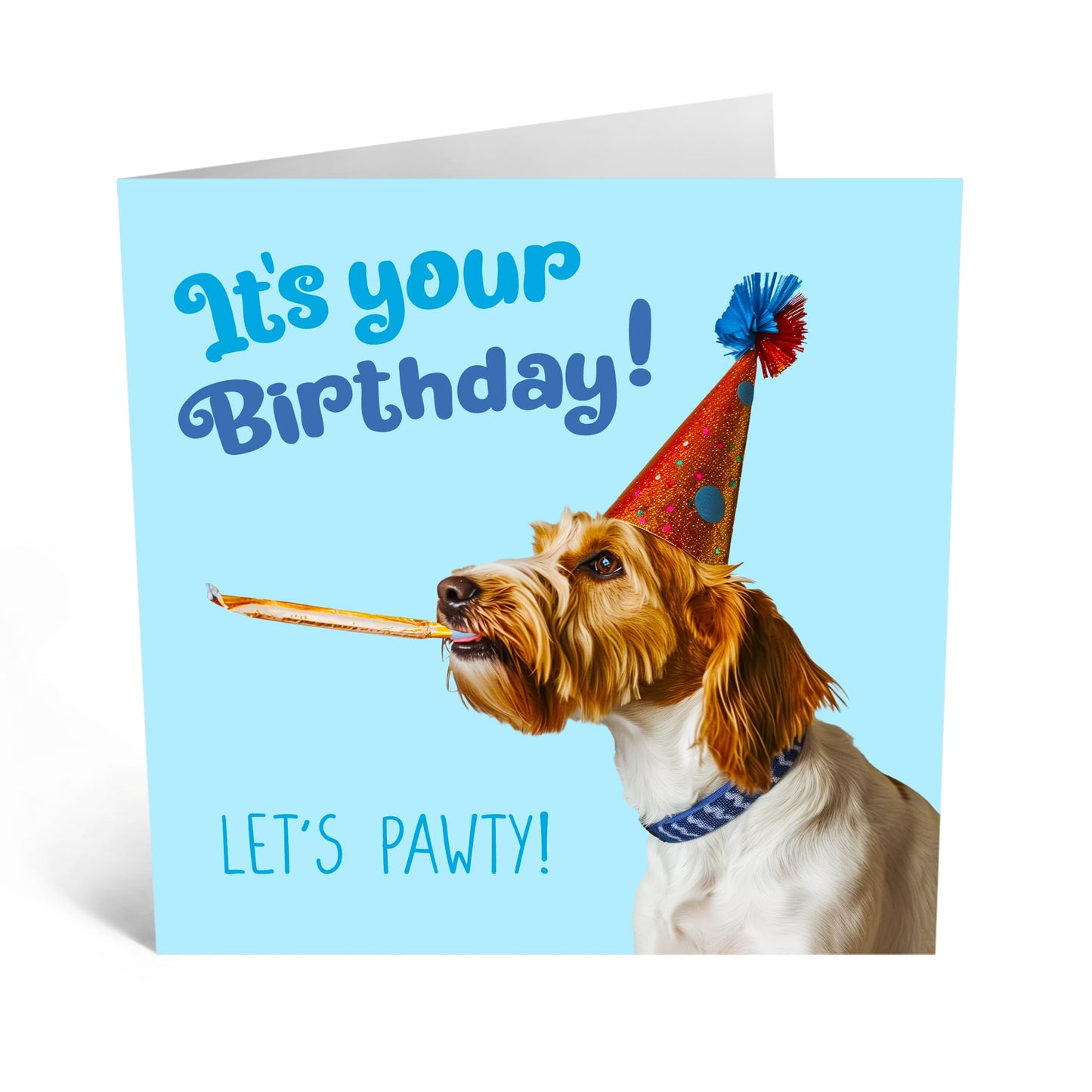 Birthday Greeting Card - 'BIRTHDAY DOG LET'S PAWTY' - Ideal for Celebrating with Fun & Party - Perfect for Dog Lovers and Adding a Playful Twist to the Special Day - Comes With Stickers By Central 23