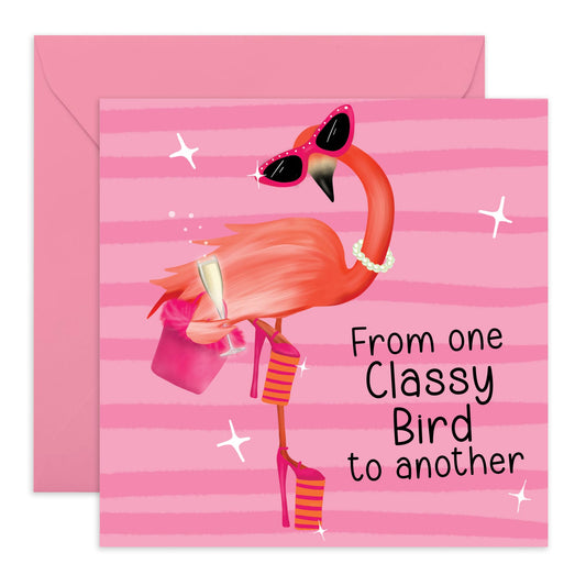 Fun Birthday Cards For Her - From One Classy Bird To Another - Cheeky Mothers Day Card For Her - Sister Birthday Card - Best Friend Birthday Card - Comes With Stickers