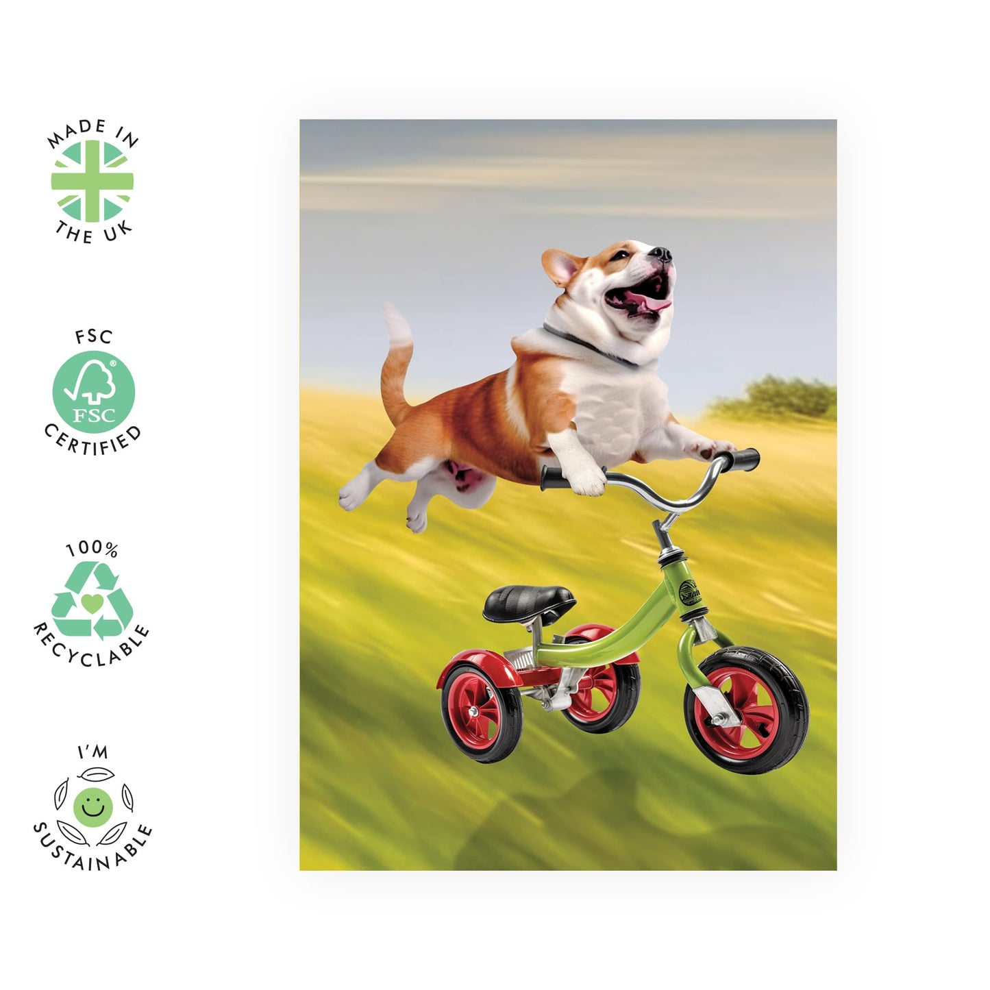 Funny Cards - Dog Greeting Cards Birthday Anniversary - Corgi Birthday Cards For Men Women - Gifts For Dog Lover Pet Owners Fur Mum And Dad - Comes With Fun Stickers - By Central 23