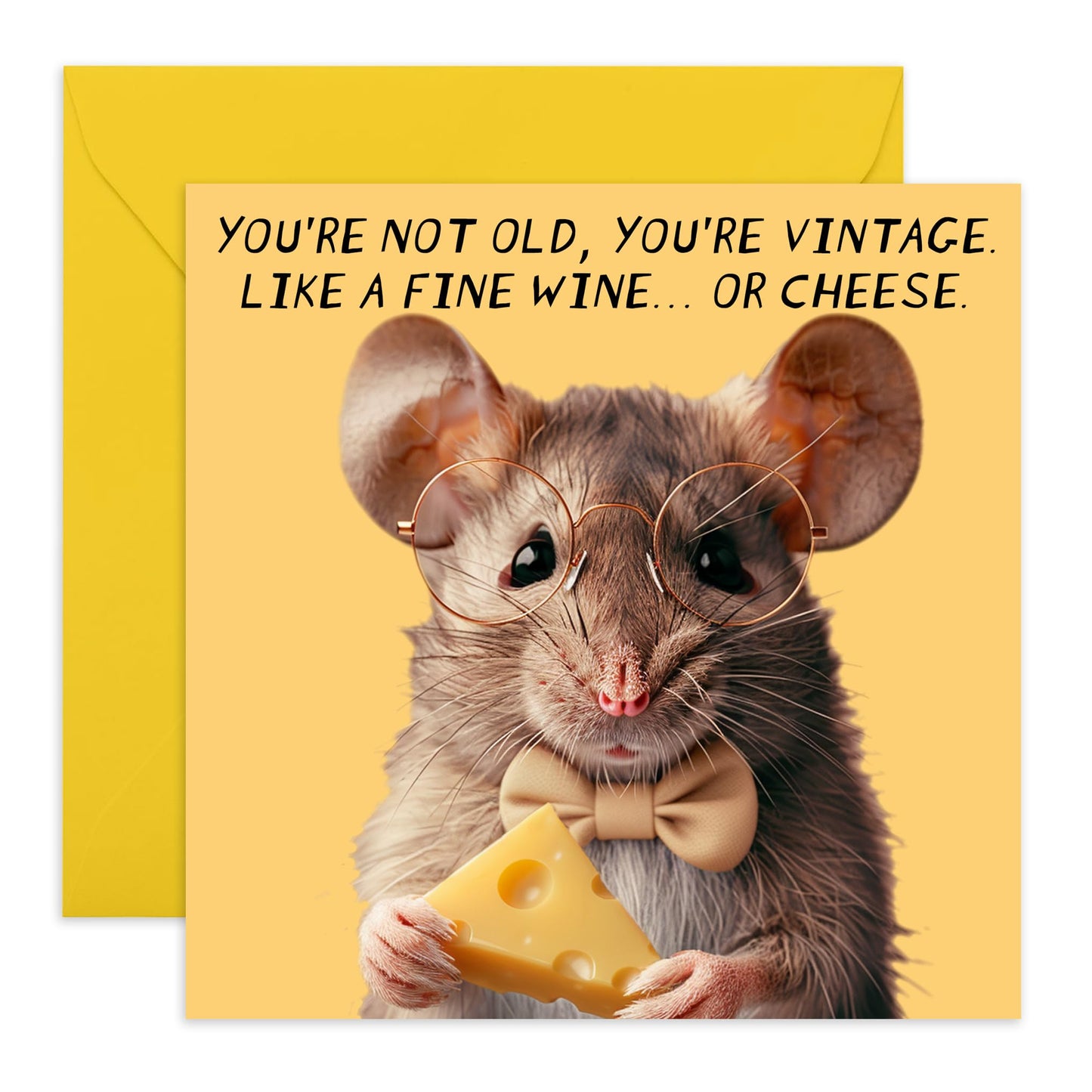 Cute Joke Birthday Card - 'Fine Wine or Cheese' - Gifts for Family, Friends, Work mates, Colleagues, Mum, Dad - Adorable Mouse - Comes with Fun Stickers