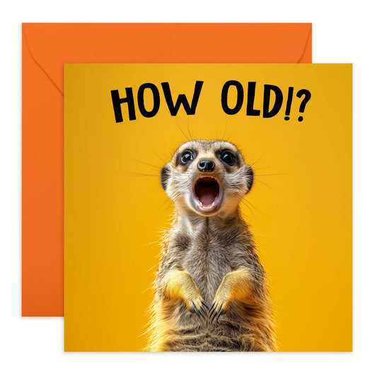 Birthday Greeting Card - 'HOW OLD? MEERKAT' - Ideal for Celebrating Milestones with a Playful Twist - Perfect for Animal Lovers & Adding Fun to Any Age Celebration - Comes With Stickers By Central 23