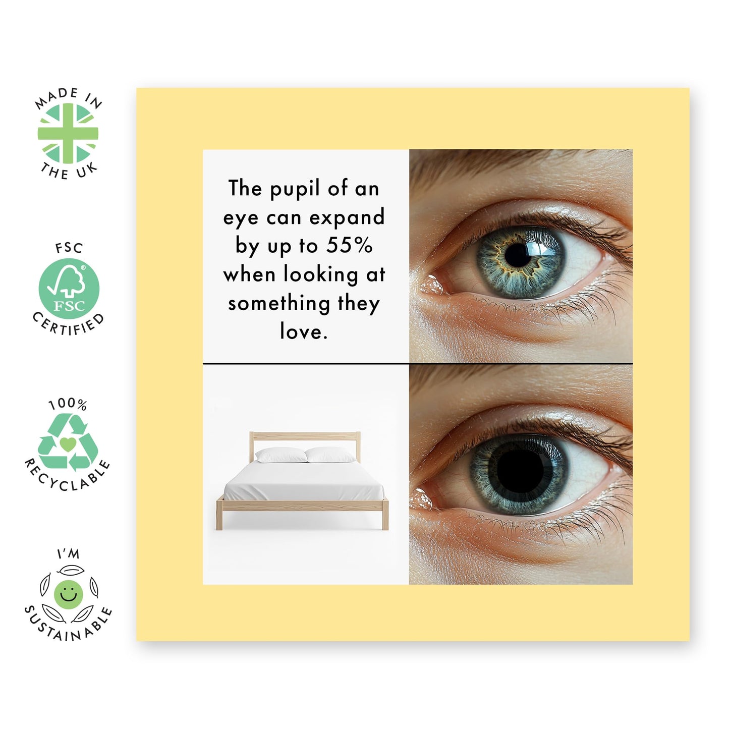 Humorous Birthday Card Who Needs More Sleep - 'Bed Pupils' - Gifts for Colleagues, Coworkers, Officemate, Him, Her- Proven - Comes with Fun Stickers