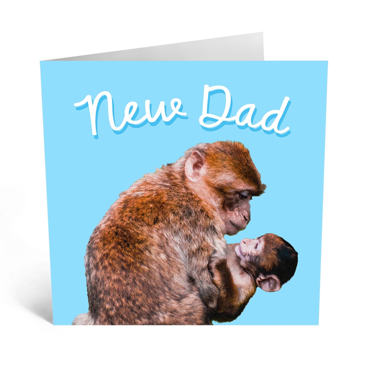 Greeting Card - 'NEW DAD MONKEYS' - Perfect for Celebrating a New Father with a Fun, Playful Monkey Design - Ideal for Adding a Touch of Humor and Joy to a New Dad - Comes With Stickers By Central 23