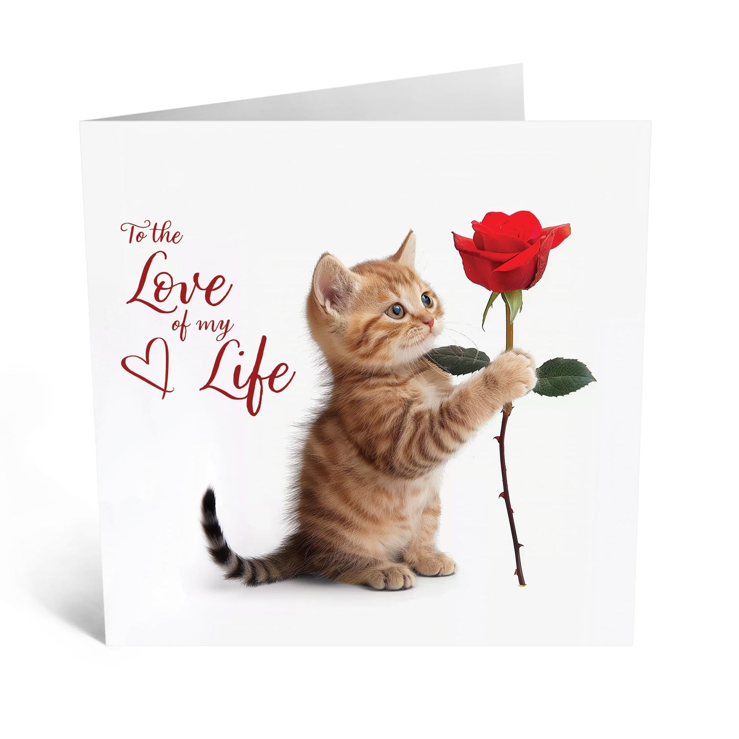 Greeting Card - 'LOVE OF MY LIFE KITTEN' - Perfect for Celebrating a Special Bond with a Touch of Feline Cuteness - Ideal for Showing Affection to Your Loved One - Comes With Stickers By Central 23