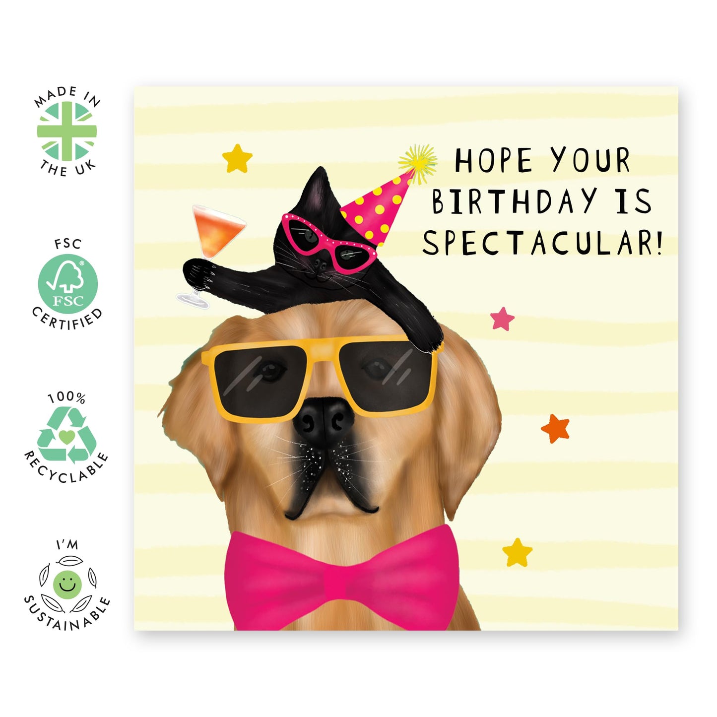 Cute Dog Birthday Card - 'Spectacular' - Gifts for BFF, Best Friend, Cousin, Cuz, Bruv, Mate, Family - Dog Wearing Glasses - Comes with Fun Stickers