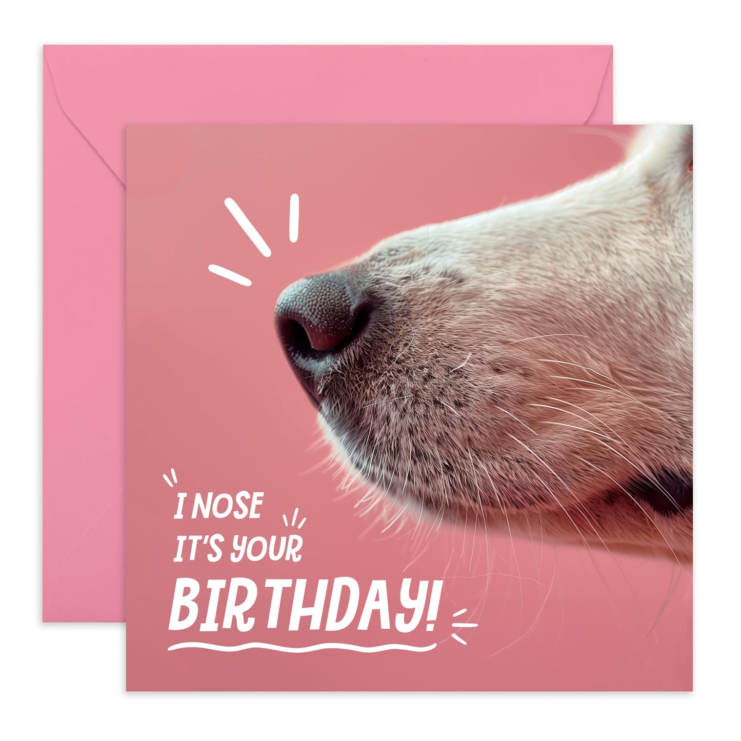 Adorable Dog Birthday Card - 'I Nose It's Your Birthday' - Gift to BFFs, Best Friend, Mate, Buddy, Brother, Sister, Coworker, Mom, Dad - Smelling Your Bday - Comes with Fun Stickers