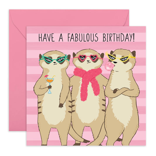 Birthday Card For Friend Female - Have A Fabulous Birthday Meerkats - Cute & Quirky Funny Birthday Cards For Women Her - Gifts For Mom Daughter Sister - Comes With Cute Stickers By Central 23
