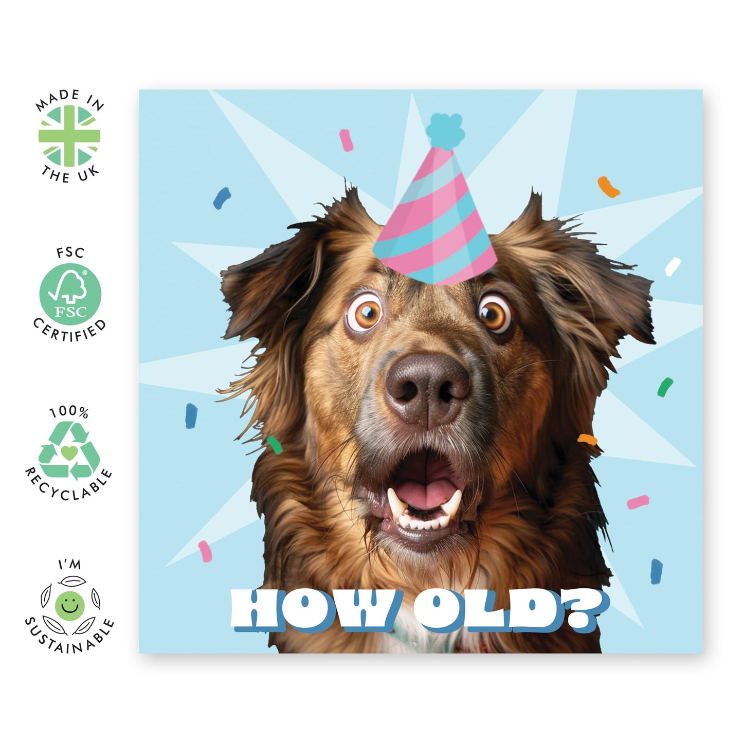 HOW OLD DOG