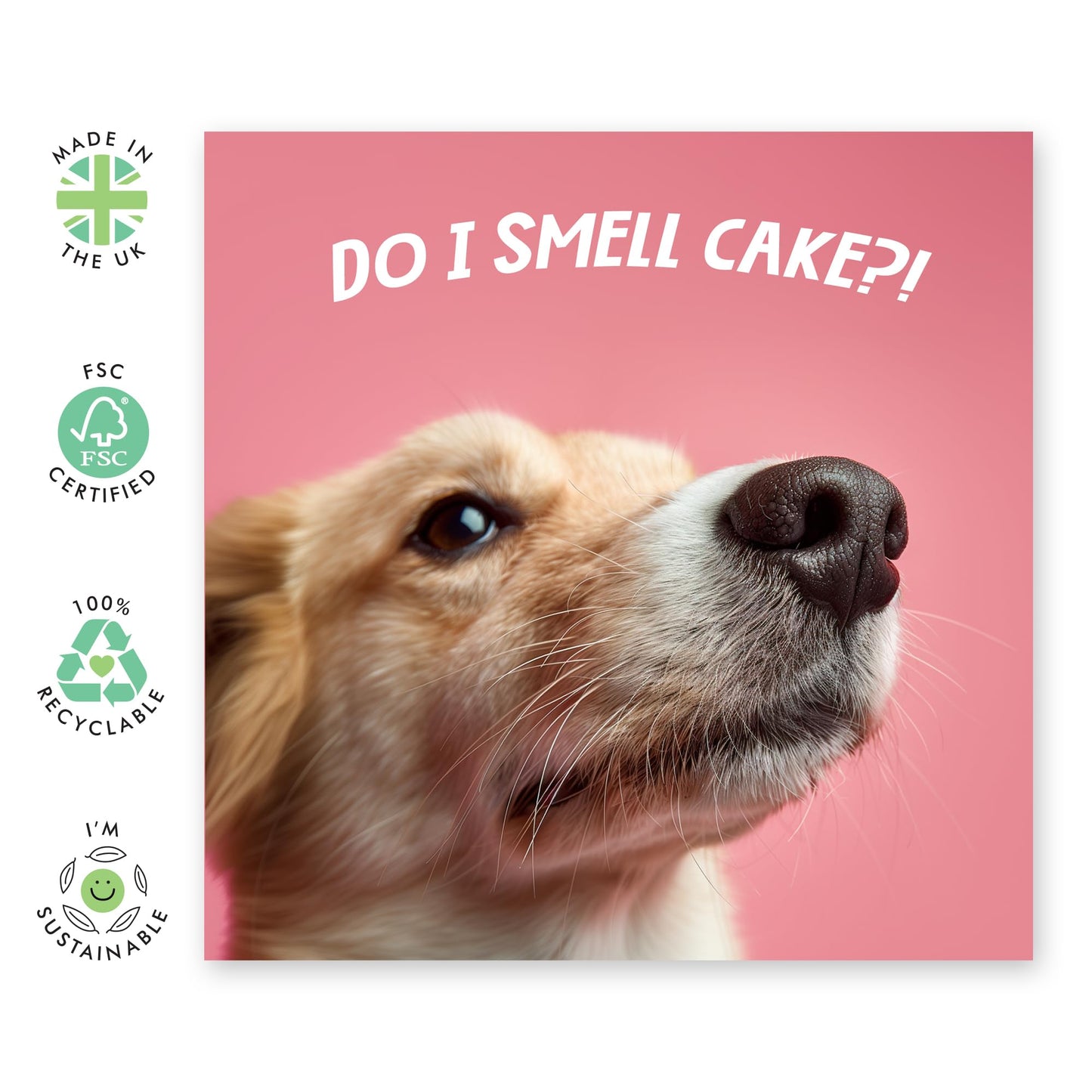 Hilarious & Cute Birthday Card - 'Do I Smell Cake' - Gift for Best Friends, Buddy, Mate, Coworkers, Officemates, Girlfriend, Classmate - Cake Please - Comes with Fun Stickers